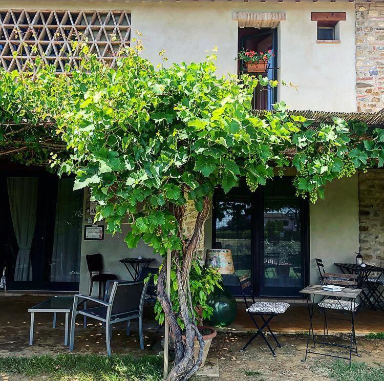 Bosco Ai Marzi Bed & Breakfast Poggibonsi Exterior foto