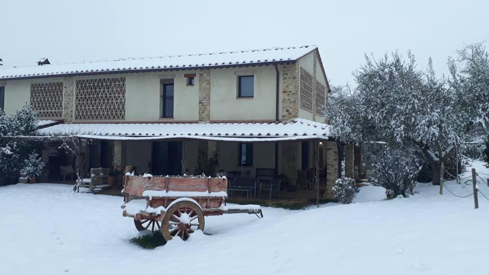 Bosco Ai Marzi Bed & Breakfast Poggibonsi Exterior foto